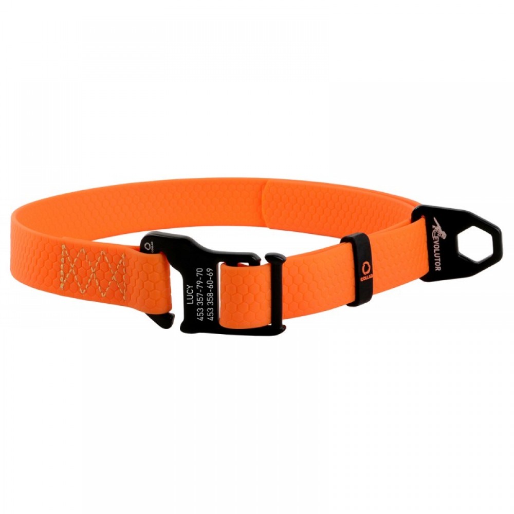 Ошейник для собак Collar Evolutor, оранжевый (25-70 см) (42434)