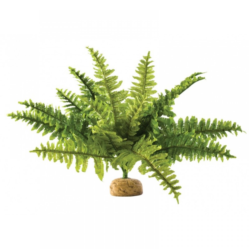 Растение пластиковое для террариума Exo Terra Boston Fern 25 см (PT2990)