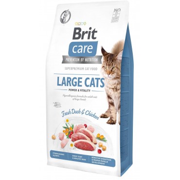 Сухой корм для кошек крупных пород Brit Care Cat GF Large cats Power and Vitality