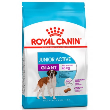 Сухий корм для цуценят Royal Canin GIANT JUNIOR ACTIVE 15 кг
