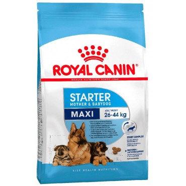 Сухий корм для цуценят Royal Canin MAXI STARTER